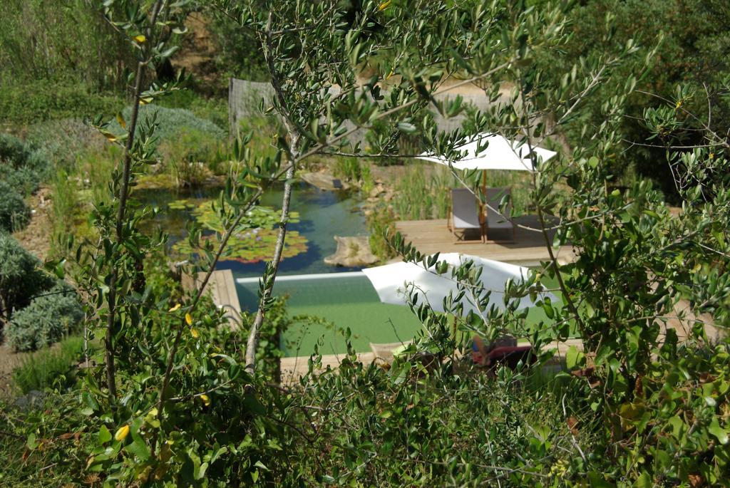 Quinta do Arade - casa 4 pétalas Barranco do Resgalho Extérieur photo