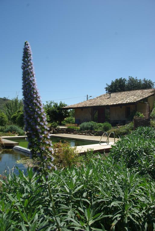 Villa Quinta do Arade - casa 4 pétalas à Barranco do Resgalho Extérieur photo